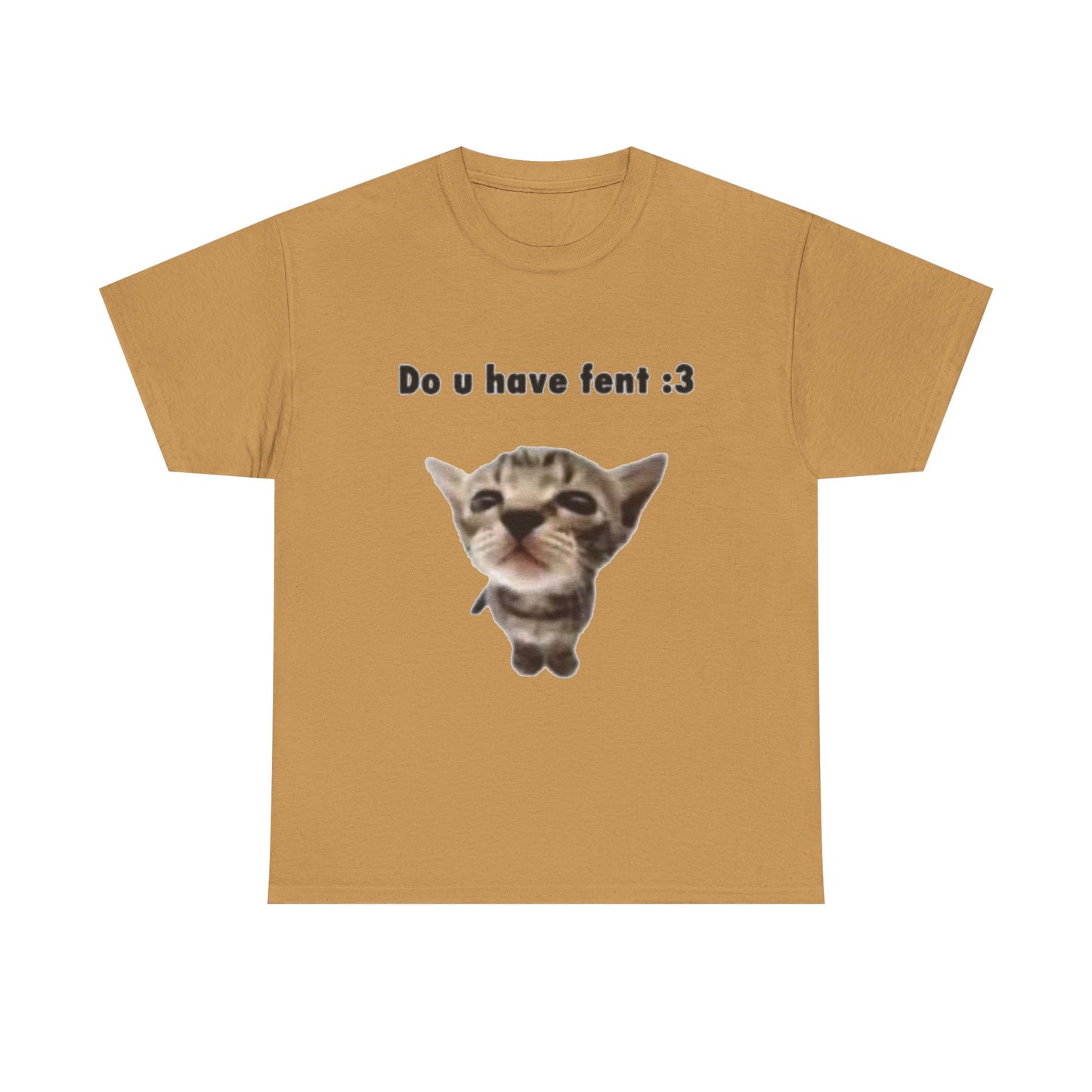 Do U Have Fent :3 T-Shirt