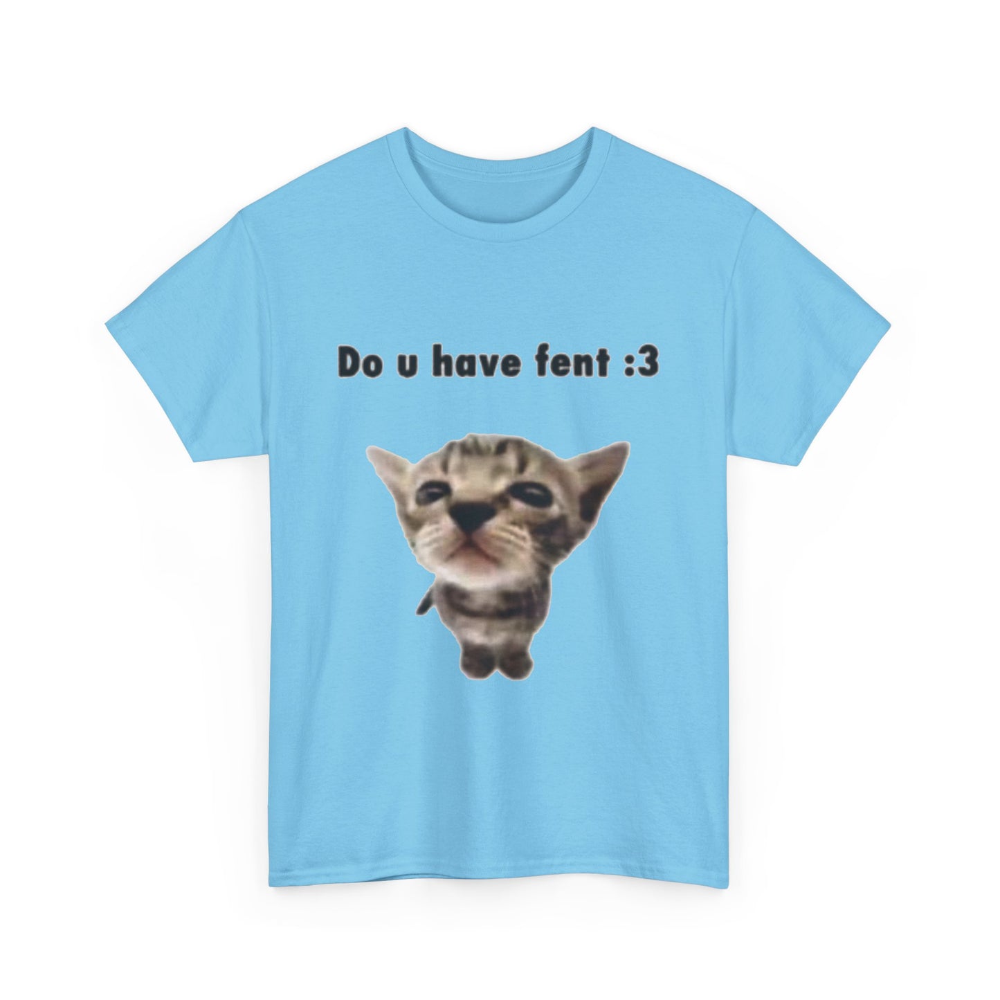 Do U Have Fent :3 T-Shirt