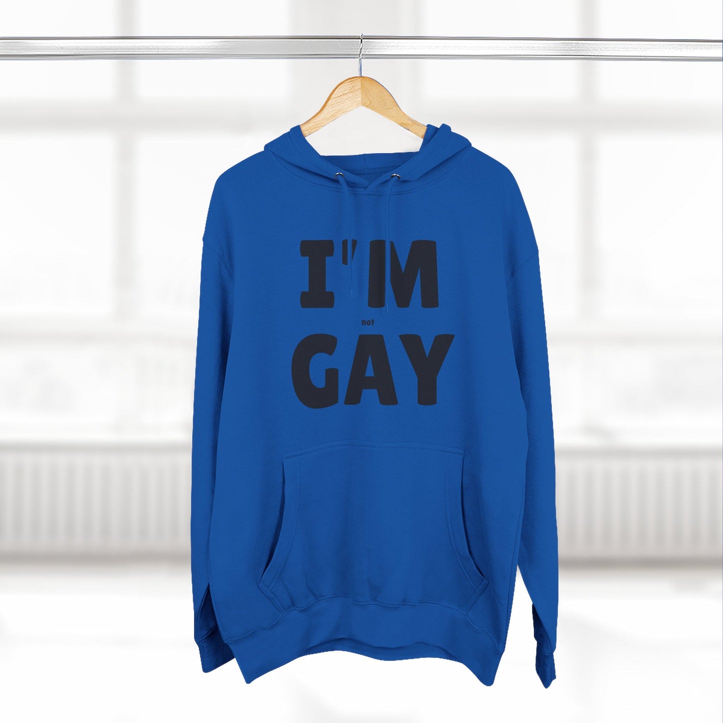 I'M (not) GAY Hoodie