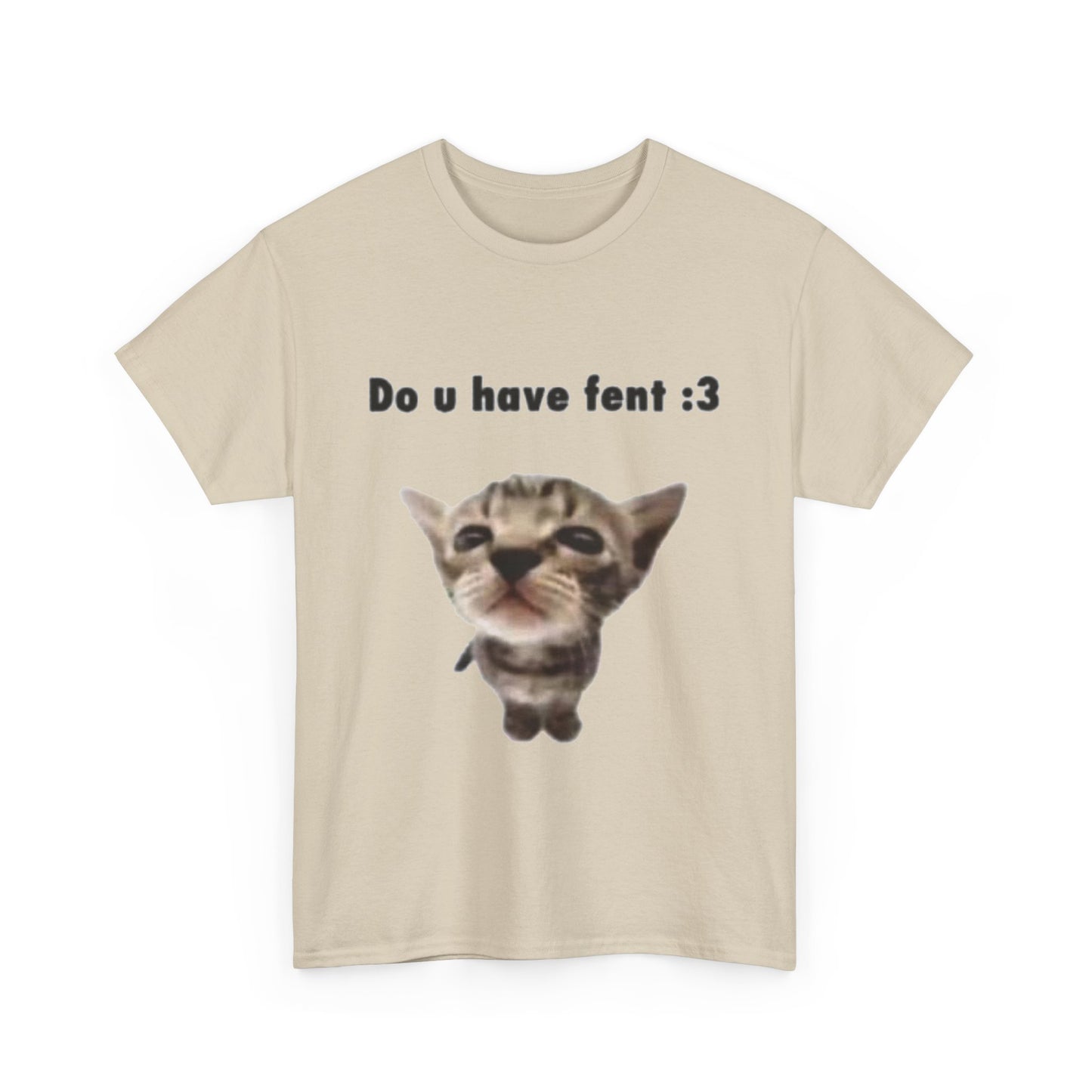 Do U Have Fent :3 T-Shirt