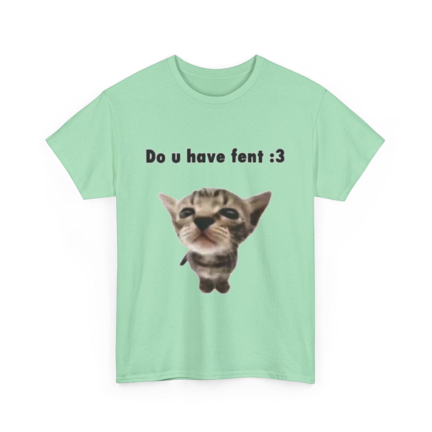 Do U Have Fent :3 T-Shirt